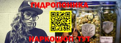 прущие грибы Ликино-Дулёво