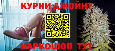 сатива Ливны