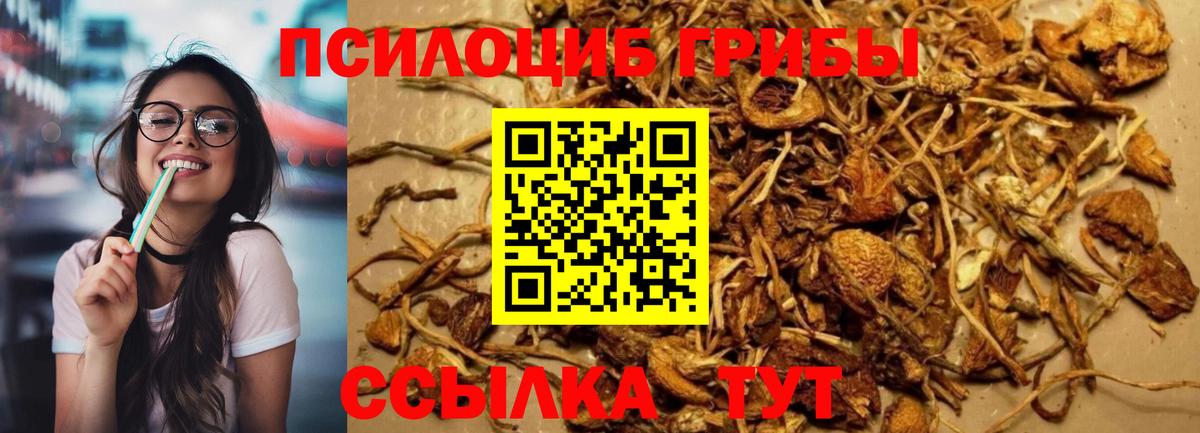Бузулук  Галлюциногенные грибы мухоморы  Вход с VPN 