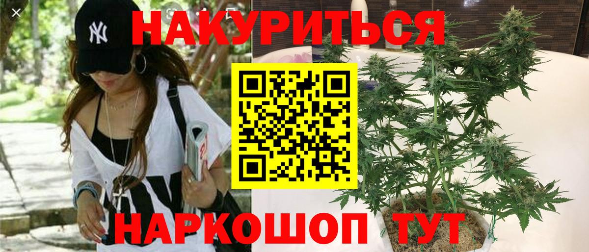 Шишки марихуана Amnesia  Бошки Шишки AK-47  Бузулук  Вход с VPN  Конопля сатива 